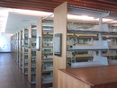 圖書館6層面書架